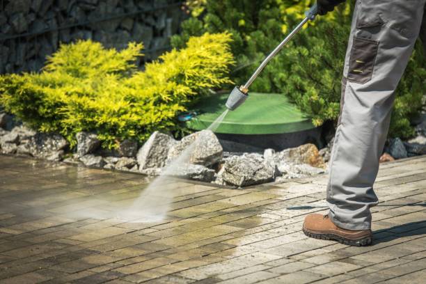 Animal Enclosure Cleaning in Princeton, KY